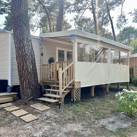 La Cabane Des Pins Lège-Cap-Ferret Exteriér fotografie