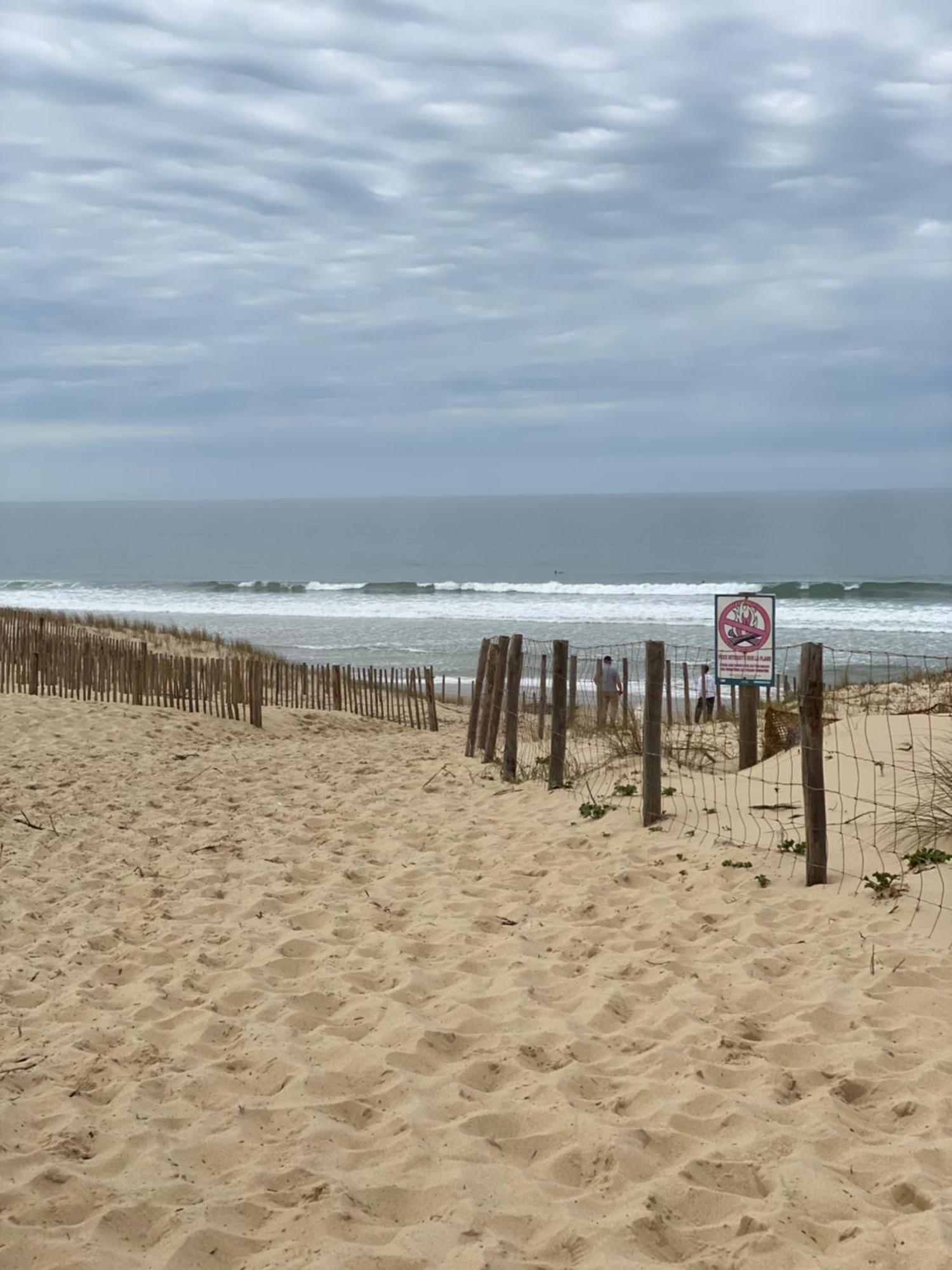 La Cabane Des Pins Lège-Cap-Ferret Exteriér fotografie
