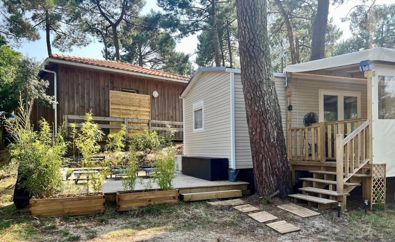 La Cabane Des Pins Lège-Cap-Ferret Exteriér fotografie