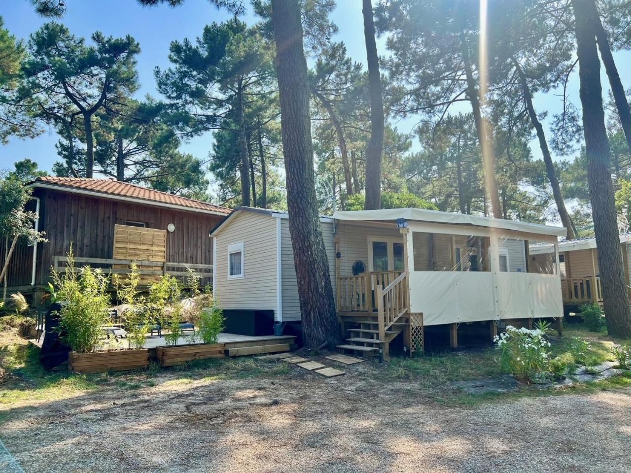 La Cabane Des Pins Lège-Cap-Ferret Exteriér fotografie